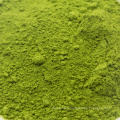 Top Quality Matcha Green Tea